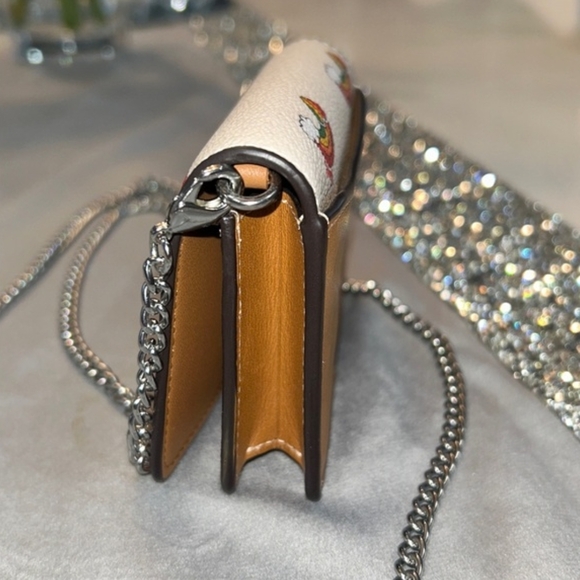 Coach PRIDE Rainbow Mini Wallet On Chain - Picture 5 of 9